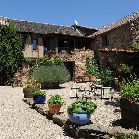 Chambres D'Hotes Le Puits D'Amour Mirandol-Bourgnounac Zewnętrze zdjęcie