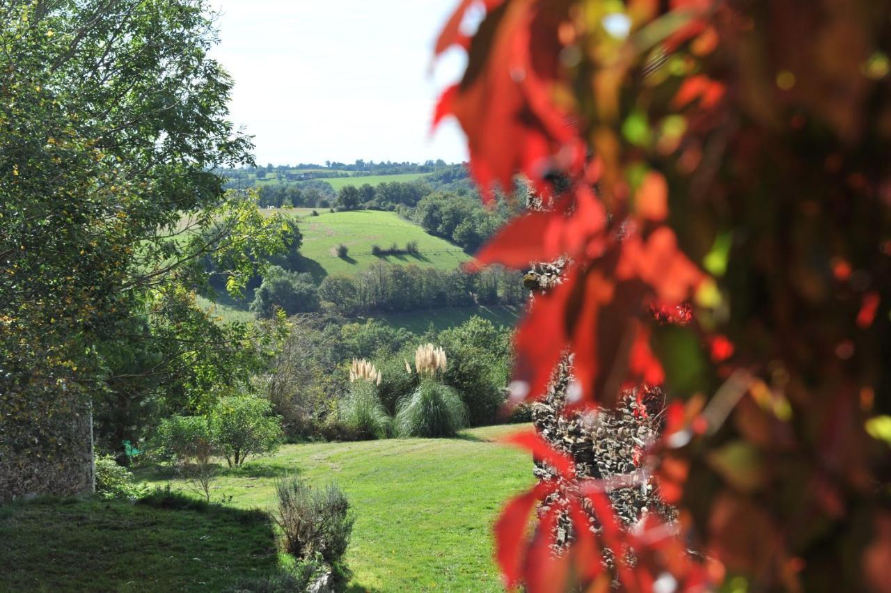 Chambres D'Hotes Le Puits D'Amour Mirandol-Bourgnounac Zewnętrze zdjęcie