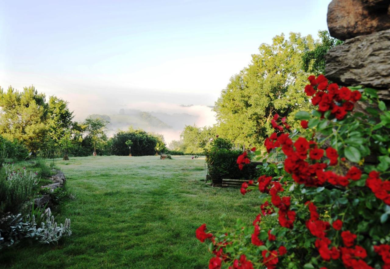 Chambres D'Hotes Le Puits D'Amour Mirandol-Bourgnounac Zewnętrze zdjęcie